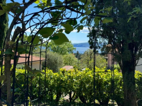 Apartman Merania